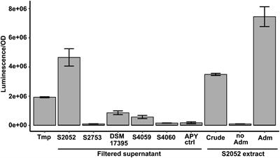 The Antibiotic Andrimid Produced by Vibrio coralliilyticus Increases Expression of Biosynthetic Gene Clusters and Antibiotic Production in Photobacterium galatheae